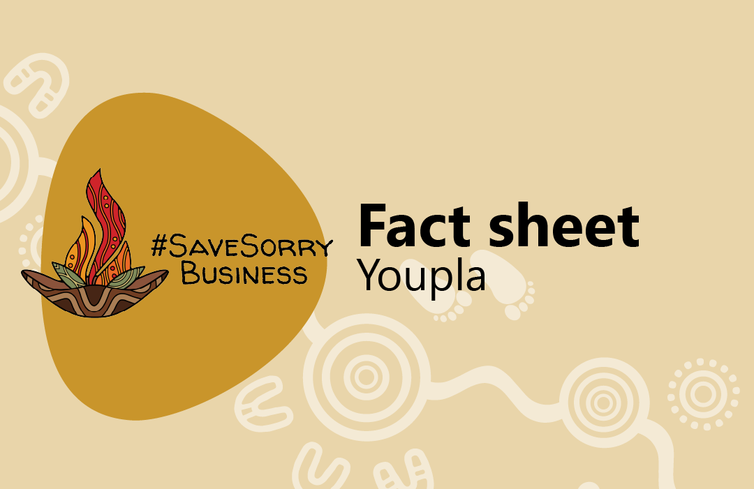 feature-image-youpla-fact-sheet
